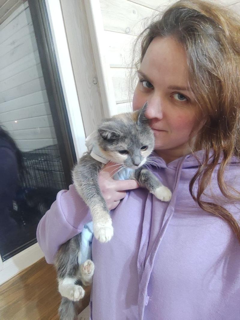 Витебский приют для бездомных животных. Приют для животных. Собачий приют в ленобласти. Добрый дом приют для животных белгород. Приют собак в кусковском парке.