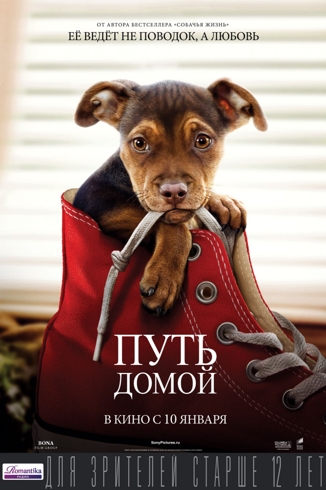 Путь домой Путь домой