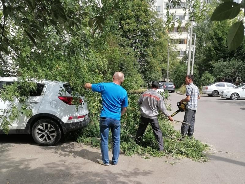 Чехов-вид последние новости происшествие. Машины чехов. Чехов-вид последние новости происшествие.